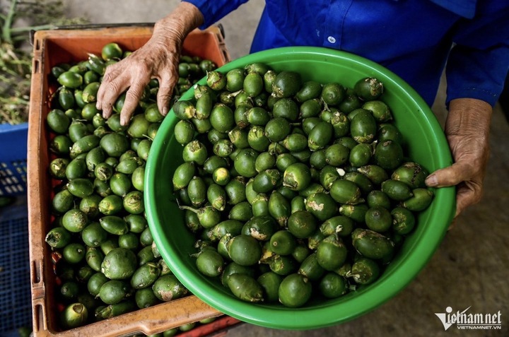 Trung Quốc mua cau giá rẻ làm kẹo, đưa ngược sang chợ Việt bán 3,3 triệu/kg