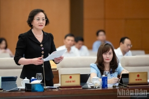 Thông qua về nguyên tắc các nghị quyết về sắp xếp đơn vị hành chính cấp xã năm 2025