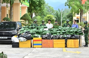 Bắt giữ đối tượng vận chuyển, tàng trữ 240kg cần sa khô