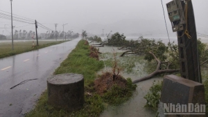 Bộ Xây dựng yêu cầu ứng phó mức cao nhất với siêu bão Ragasa