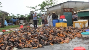 Bão số 10 và mưa lũ gây thiệt hại hơn 16.500 tỷ đồng tại Việt Nam