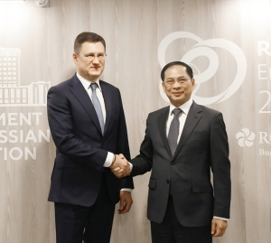 Chính phủ Nga cam kết triển khai sớm, hiệu quả thoả thuận cấp cao với Việt Nam