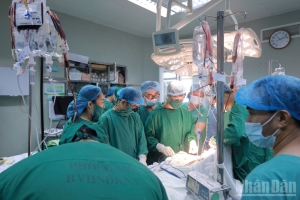 Nhân viên y tế và người nhà bệnh nhân bị tấn công tại Bệnh viện Sản Nhi Nghệ An