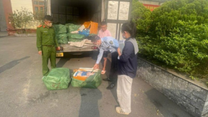 Phát hiện, thu giữ hơn 1,3 tấn nầm lợn bốc mùi hôi thối