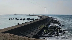 Tám lao động Việt Nam gặp nạn ở ngoài khơi Nhật Bản