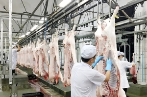 Công điện của Thủ tướng Chính phủ về chấn chỉnh công tác kiểm soát giết mổ gia súc, tăng cường kỷ luật, kỷ cương trong thực thi công vụ