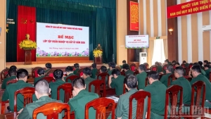 Biên phòng Hải Phòng tổ chức Hội nghị tập huấn, bồi dưỡng nghiệp vụ cấp ủy năm 2026