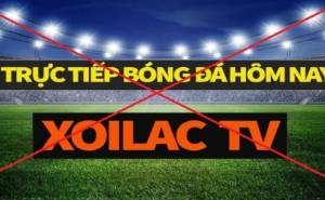 Đại sứ quán Anh và Bắc Ireland cảm ơn Việt Nam sau khi triệt phá vụ án Xôi Lạc TV