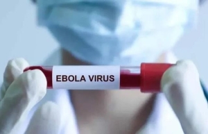 Sở Y tế TPHCM chủ động giám sát, ngăn nguy cơ dịch Ebola xâm nhập