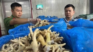 Công an Hà Nội khởi tố 2 đối tượng trong vụ buôn lậu hơn 1 triệu tấn chân gà