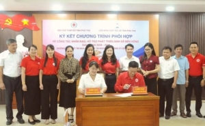 Gắn công tác nhân đạo với hỗ trợ sinh kế bền vững